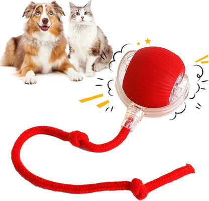 Pelota interactiva de mascotas antiestres